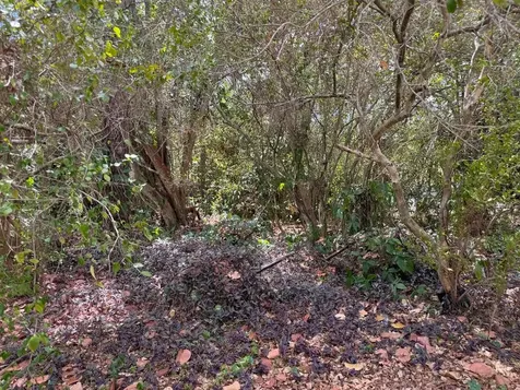 3358 S Jog Road Greenacres FL 33467