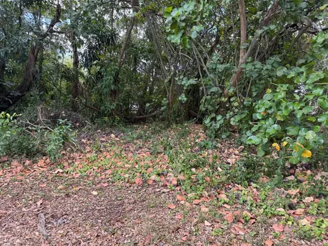 3358 S Jog Road Greenacres FL 33467