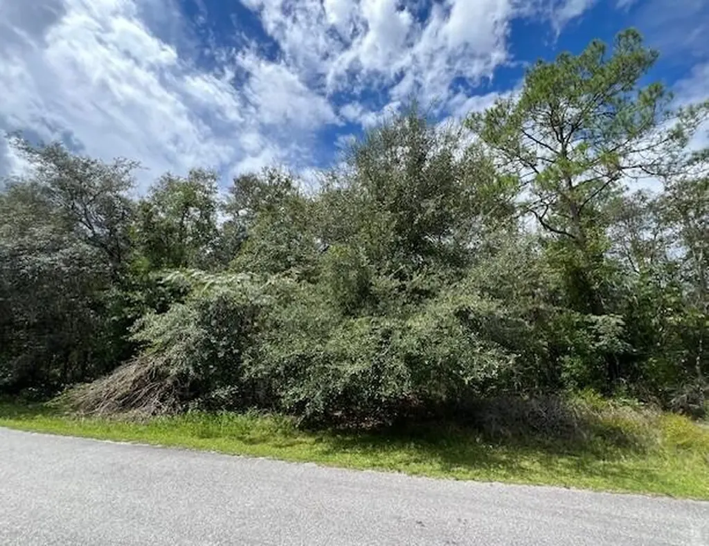 6252 N Cavalier Terrace Citrus Springs FL 34433