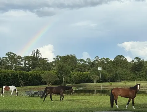 2770 E Road Loxahatchee Groves FL 33470