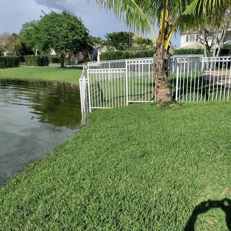 16729 SW 16th Street Pembroke Pines FL 33027