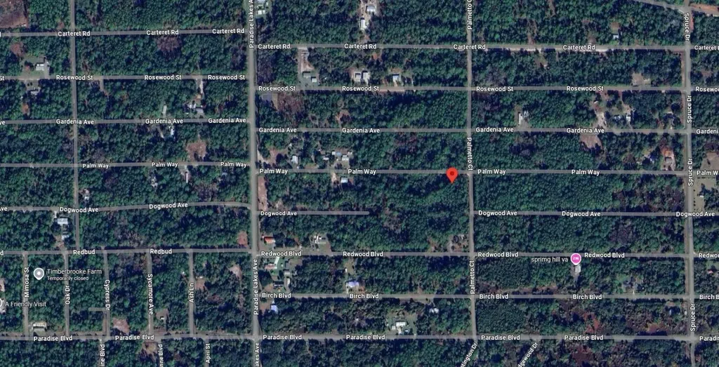 337 Palm Way Georgetown FL 32139