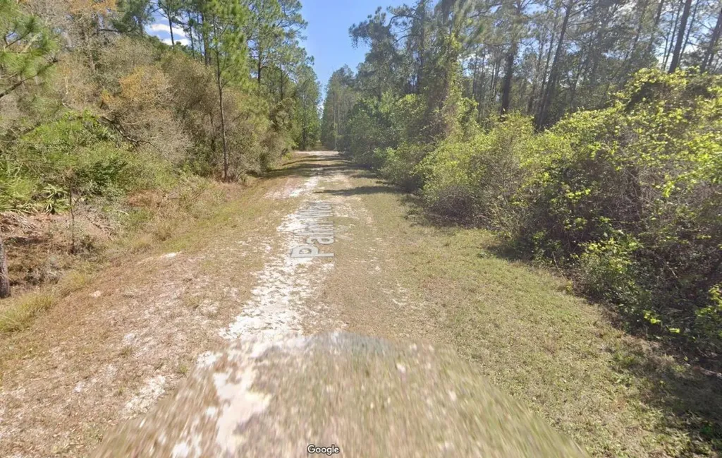 337 Palm Way Georgetown FL 32139