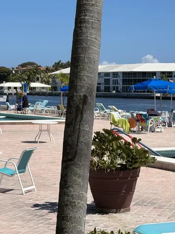 2010 S Federal Highway Boynton Beach FL 33435