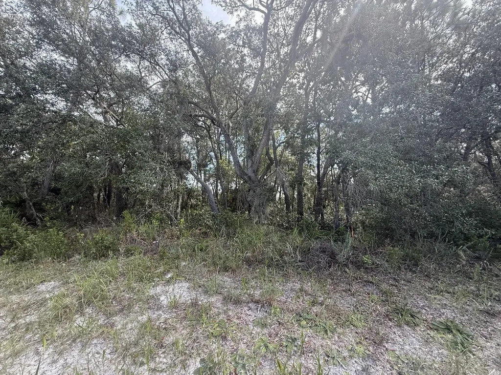 Tbd SW 146th Lane Road Dunnellon FL 34432