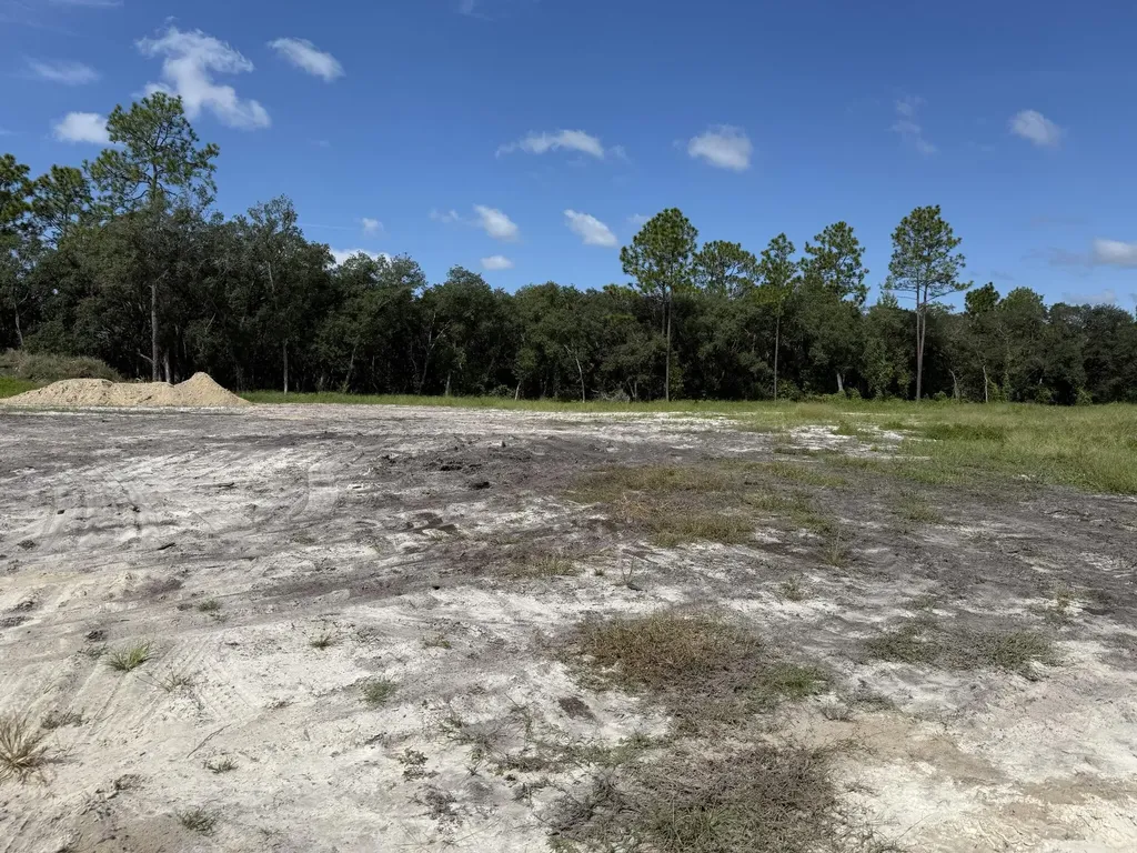 Tbd SW 146th Lane Road Dunnellon FL 34432