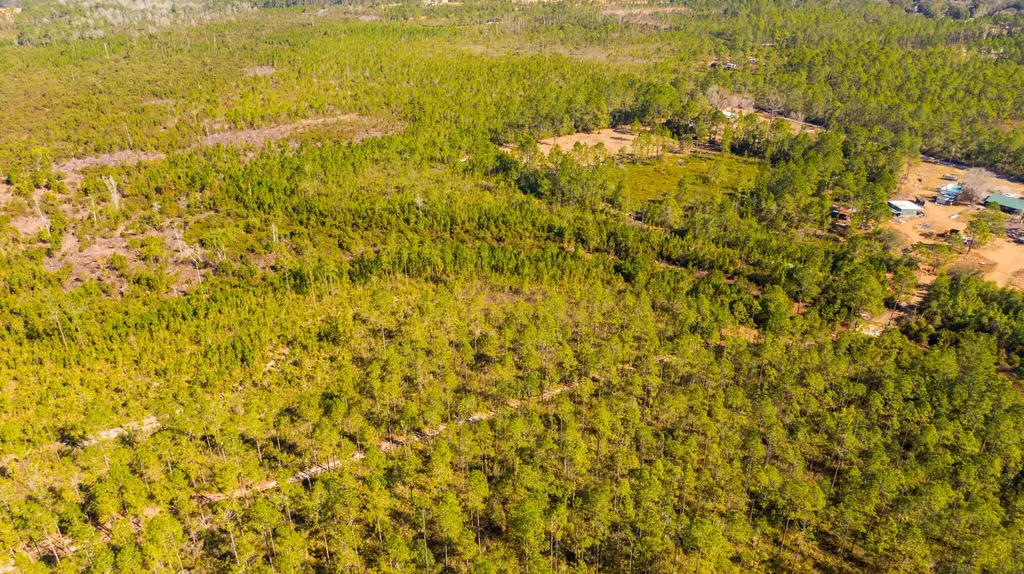 0000 NE 125th Avenue Fort Mccoy FL 32134