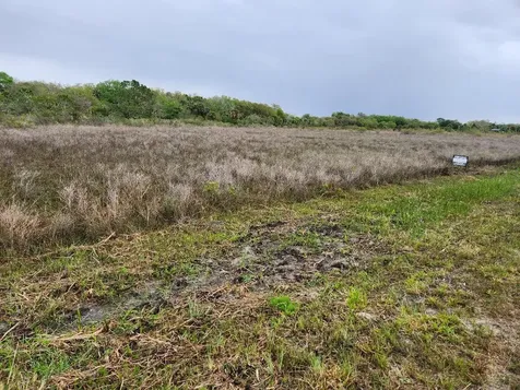 15679 NW 296th Street Okeechobee FL 34972