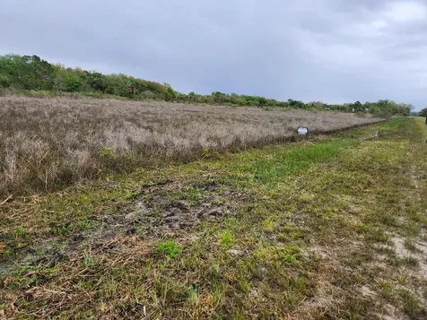 15679 NW 296th Street Okeechobee FL 34972
