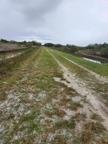15679 NW 296th Street Okeechobee FL 34972