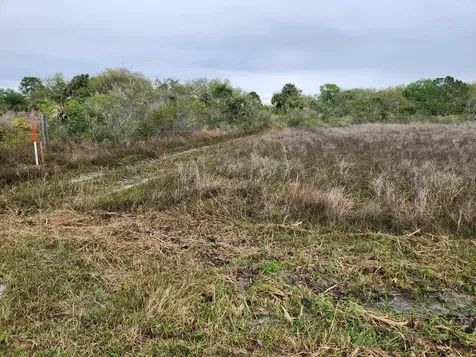 15679 NW 296th Street Okeechobee FL 34972