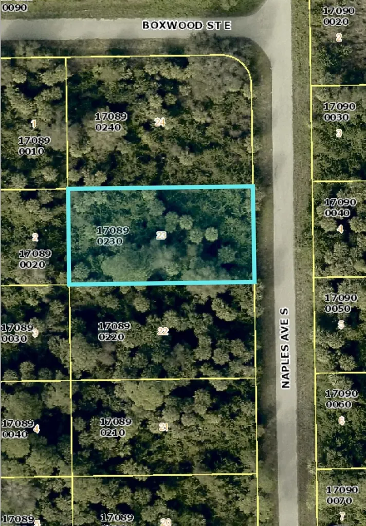636 Naples Avenue S Lehigh Acres FL 33974