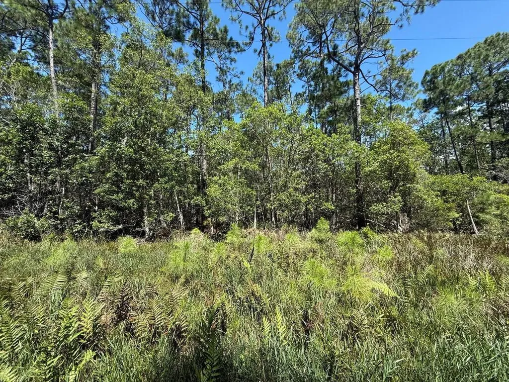210 SE 2nd Street Georgetown FL 32139