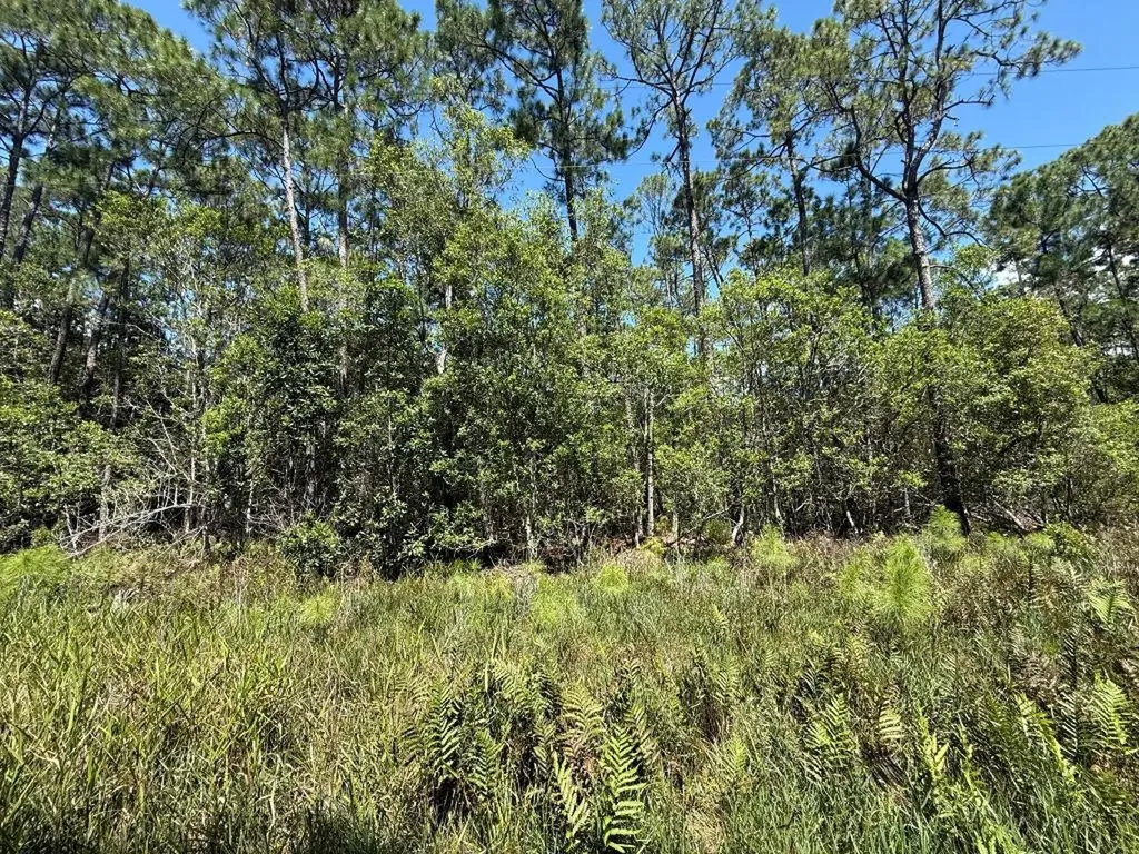 210 SE 2nd Street Georgetown FL 32139