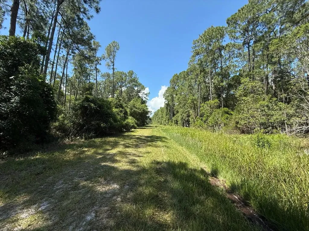 210 SE 2nd Street Georgetown FL 32139