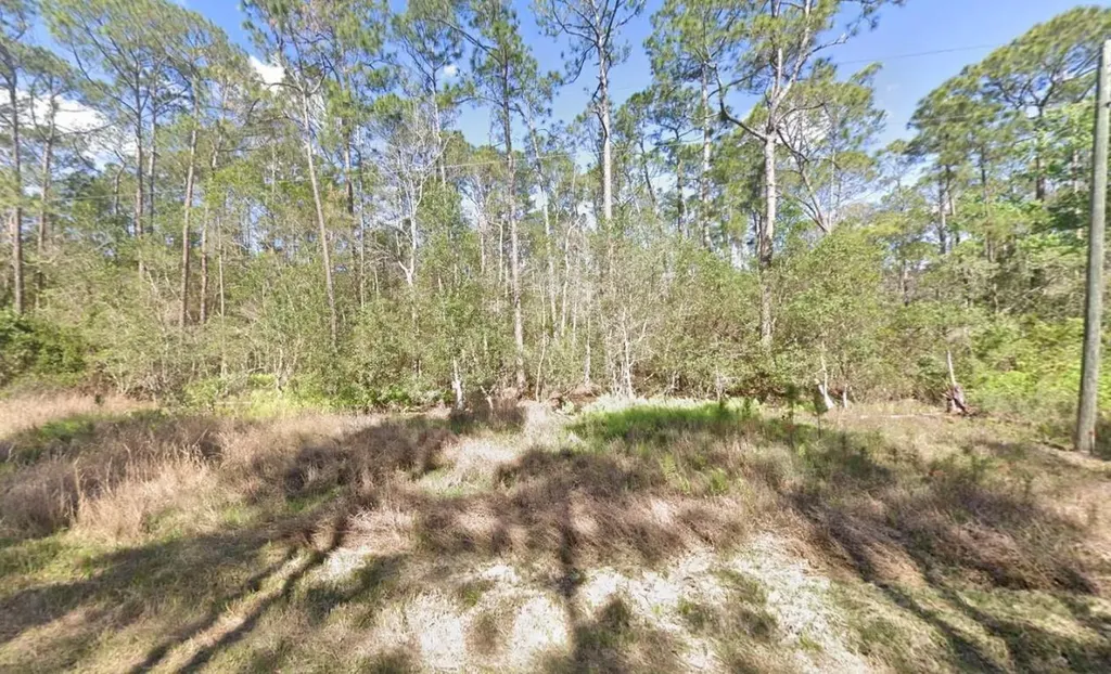210 SE 2nd Street Georgetown FL 32139
