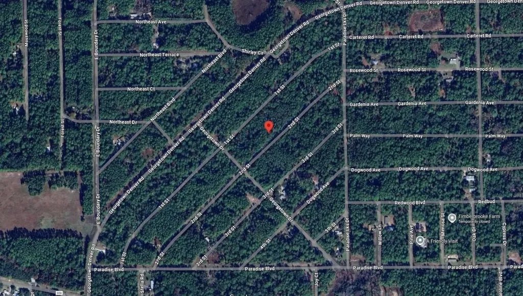 210 SE 2nd Street Georgetown FL 32139