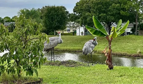 200 SW Ridgecrest Drive Port St Lucie FL 34953