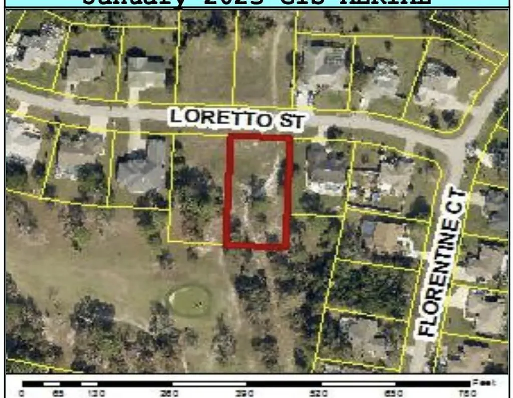 0 Tbd Loretto Lot 8 Street Spring Hill FL 34608