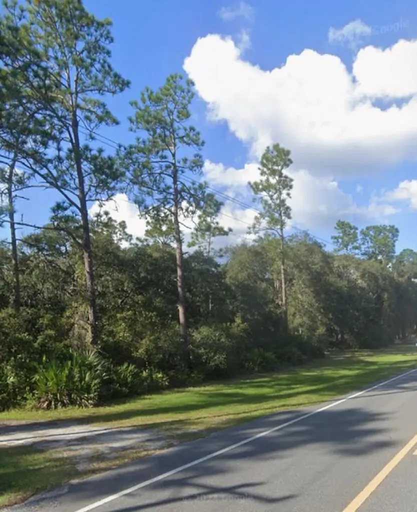 0 NE 315 Highway Fort Mccoy FL 32134