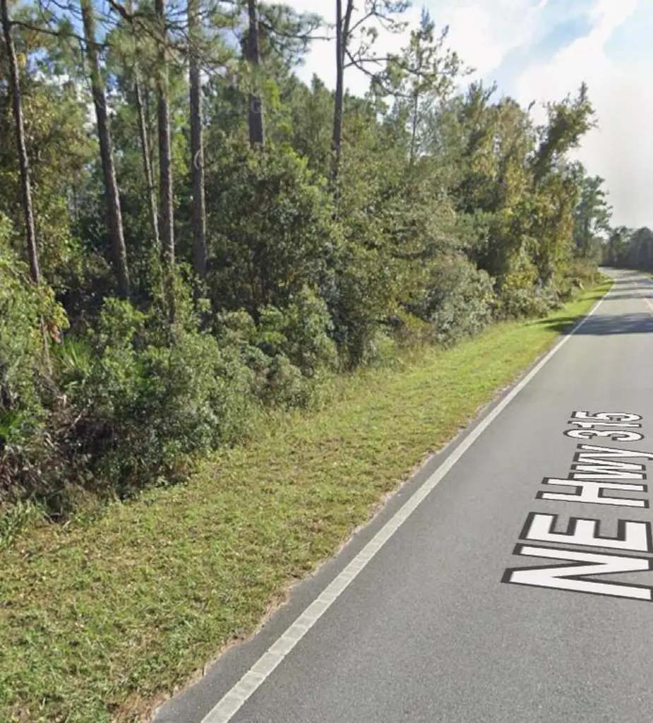 0 NE 315 Highway Fort Mccoy FL 32134
