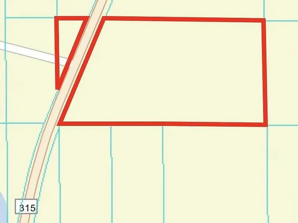 0 NE 315 Highway Fort Mccoy FL 32134