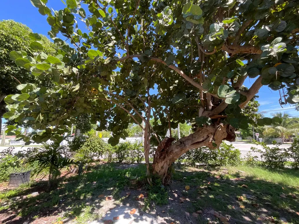 700 Tallapoosa Street West Palm Beach FL 33405