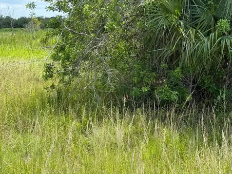 305 Fawn Trail Street Palm Bay FL 32909