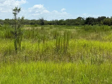 305 Fawn Trail Street Palm Bay FL 32909