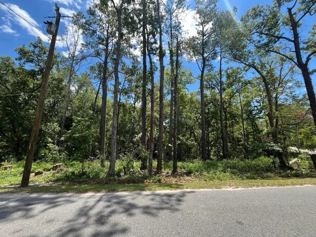 Tbd Franklin Drive Crawfordville FL 32327