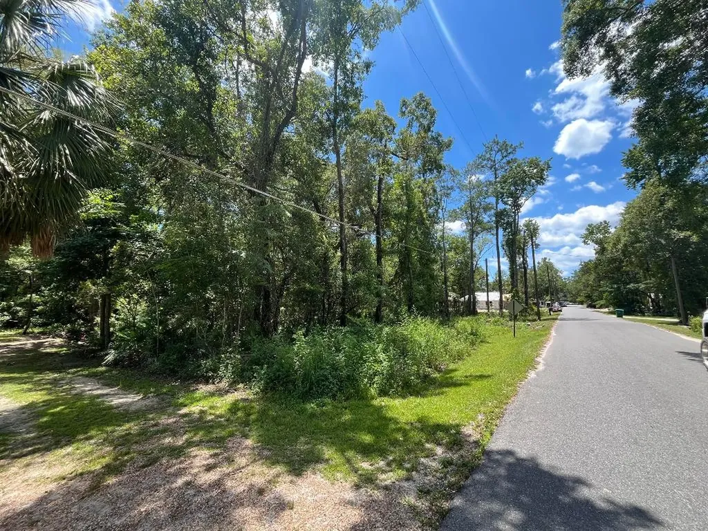 Tbd Franklin Drive Crawfordville FL 32327
