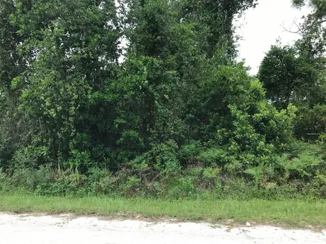 1126 Greenfield Street Lake Placid FL 33852