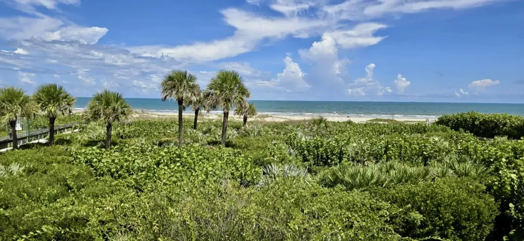 615 Ocean Park Lane Cape Canaveral FL 32920