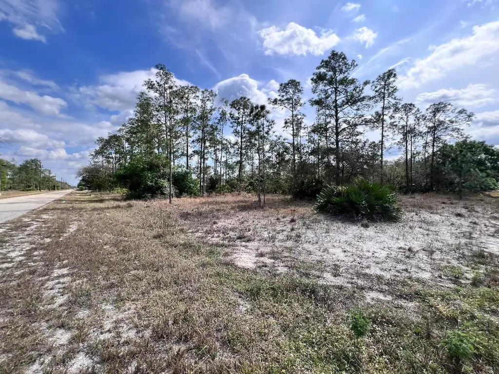 1506 E 15th Street Lehigh Acres FL 33972