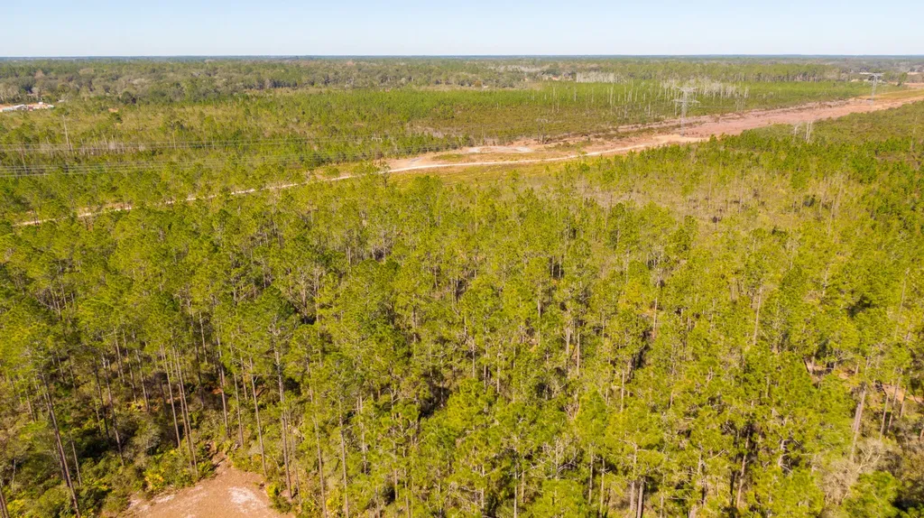 0000 NE 125th Avenue Fort Mccoy FL 32134