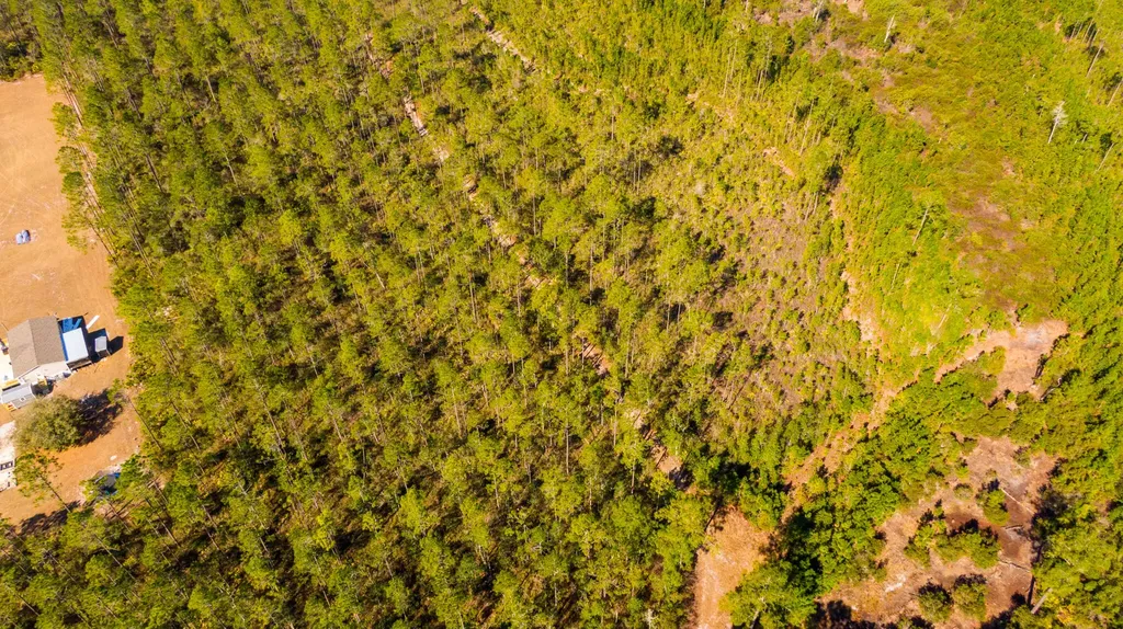 0000 NE 125th Avenue Fort Mccoy FL 32134