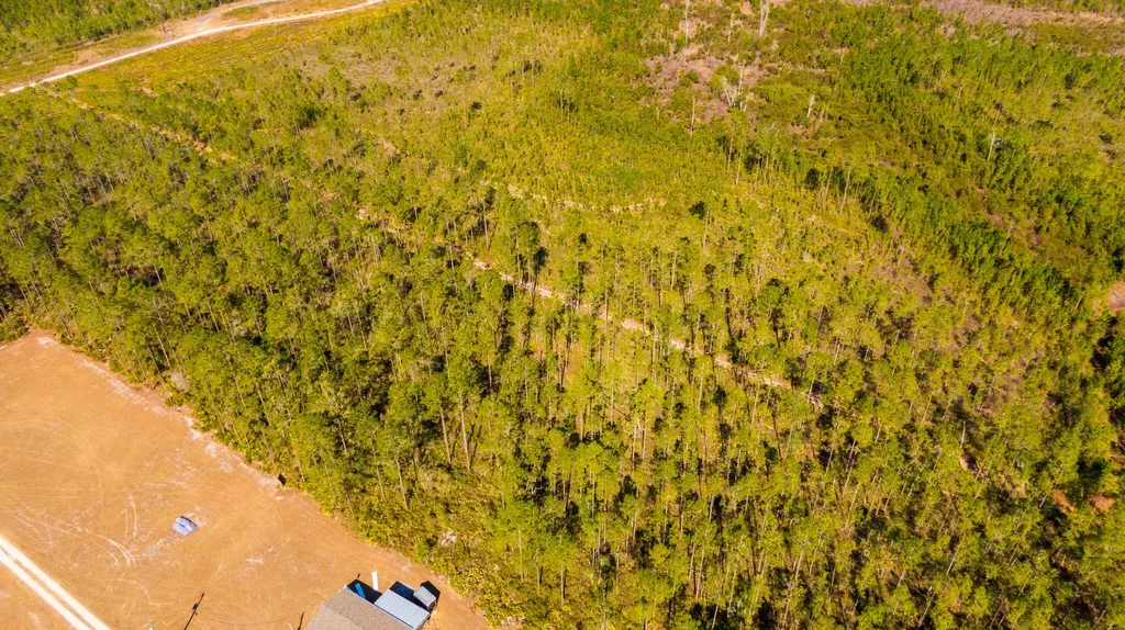 0000 NE 125th Avenue Fort Mccoy FL 32134