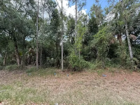 15501 Whitehall Avenue Port Charlotte FL 33953