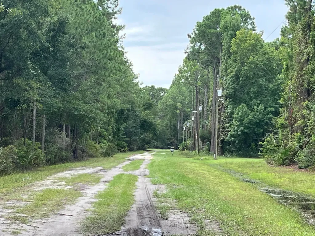 117 Mosswood Street Georgetown FL 32139