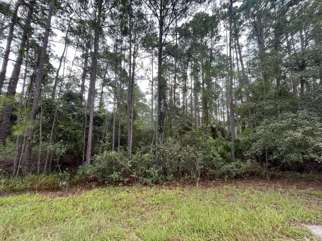 117 Mosswood Street Georgetown FL 32139