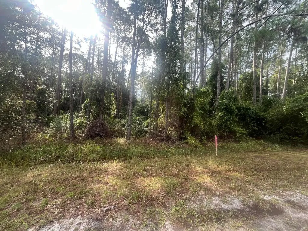 223 SE 2nd Street Georgetown FL 32139