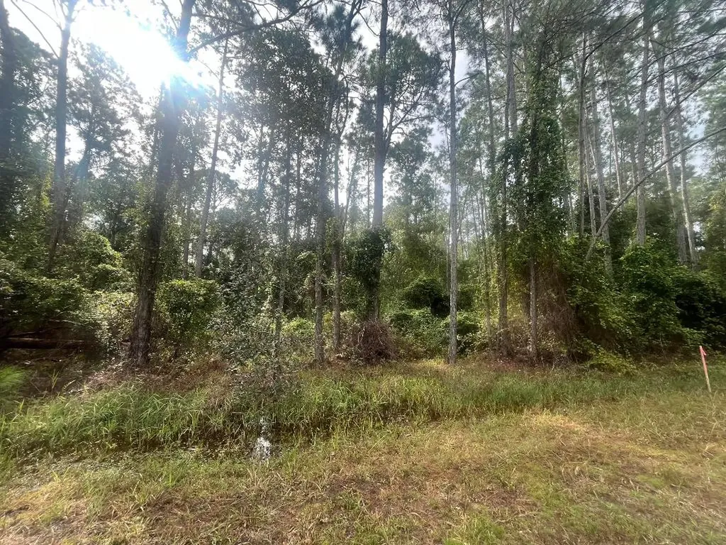 223 SE 2nd Street Georgetown FL 32139