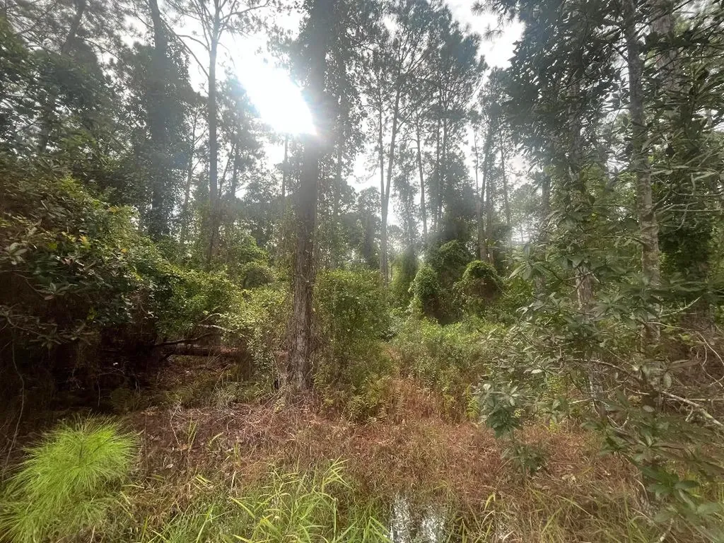 223 SE 2nd Street Georgetown FL 32139