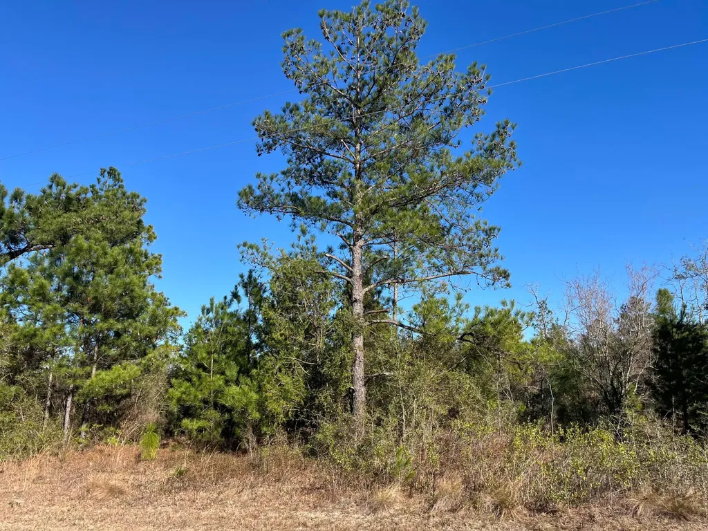 Tbd Fairview Road Marianna FL 32448