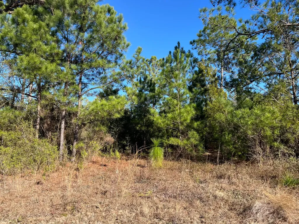 Tbd Fairview Road Marianna FL 32448