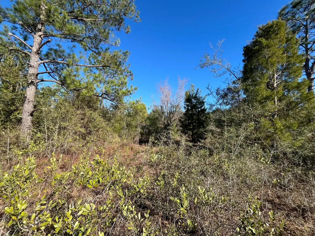 Tbd Fairview Road Marianna FL 32448
