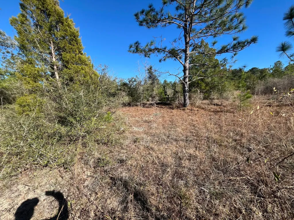 Tbd Fairview Road Marianna FL 32448