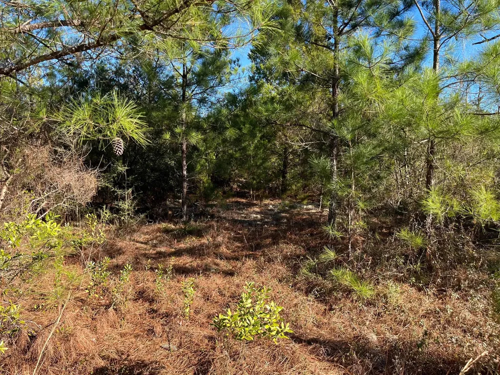 Tbd Fairview Road Marianna FL 32448