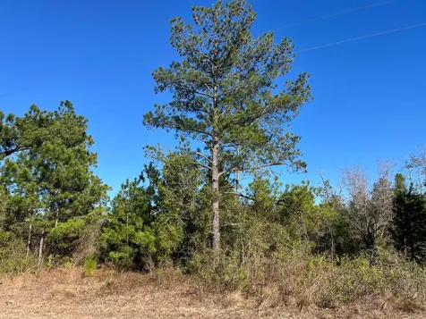 Tbd Fairview Road Marianna FL 32448