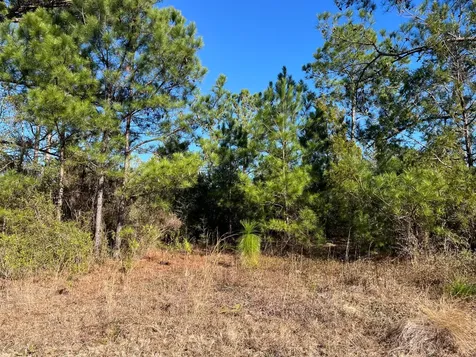 Tbd Fairview Road Marianna FL 32448